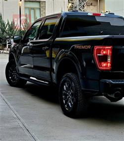 فۆرد F-150
